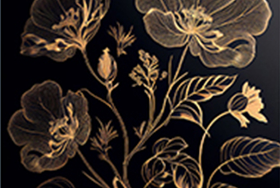 This image for Image Layouts addon