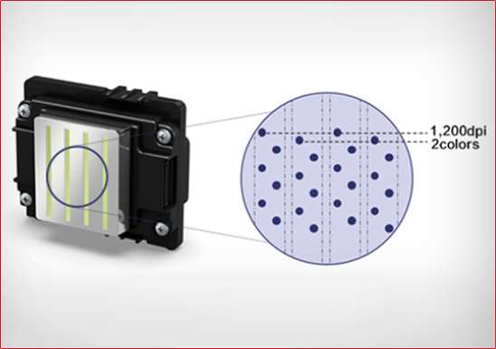 This image for Image Layouts addon